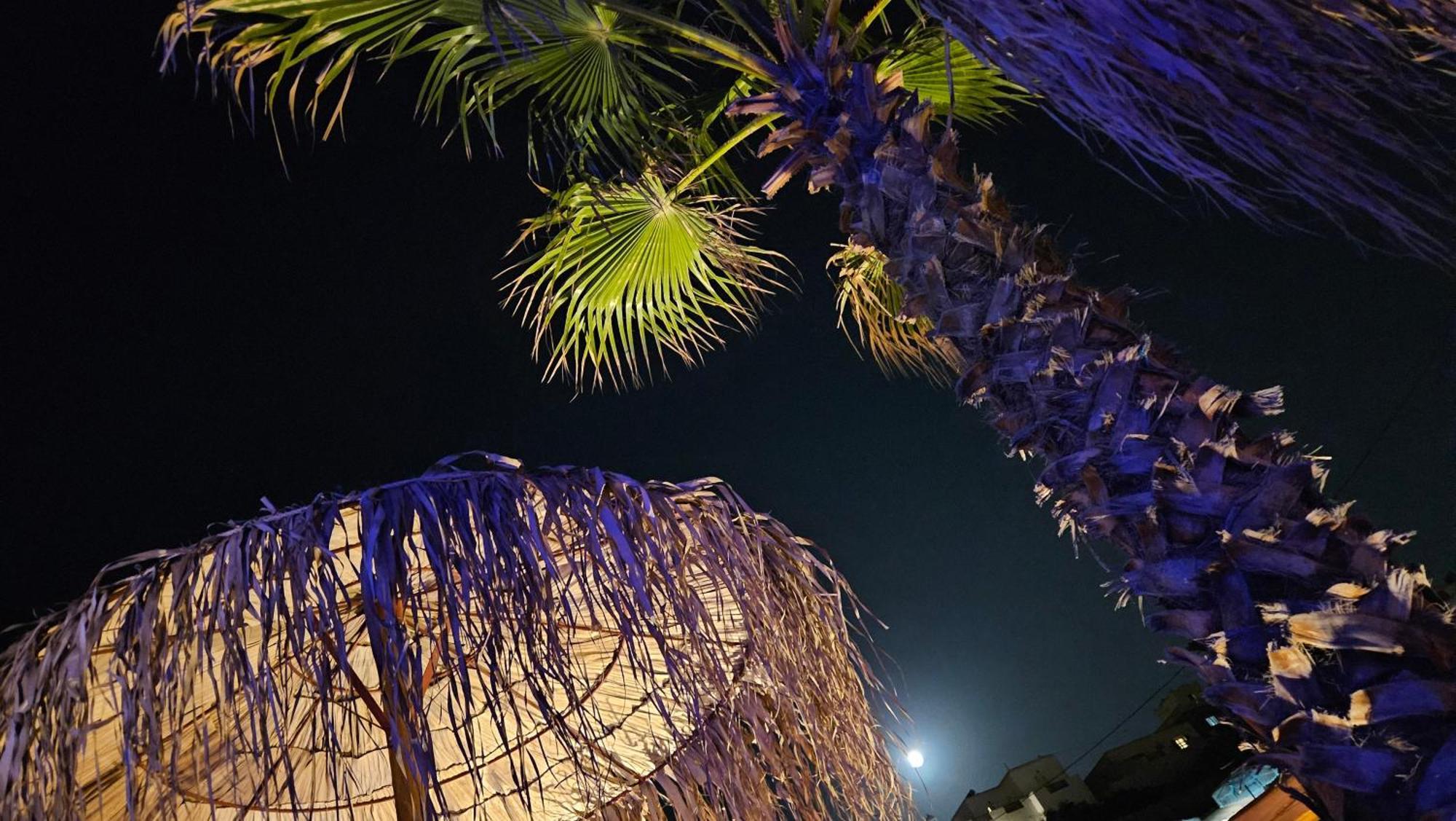 Mykonos Town Elli Tropical Suites المظهر الخارجي الصورة