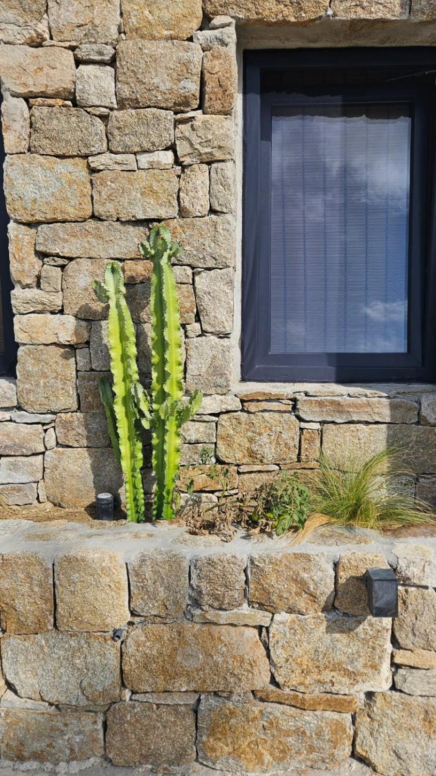 Mykonos Town Elli Tropical Suites المظهر الخارجي الصورة
