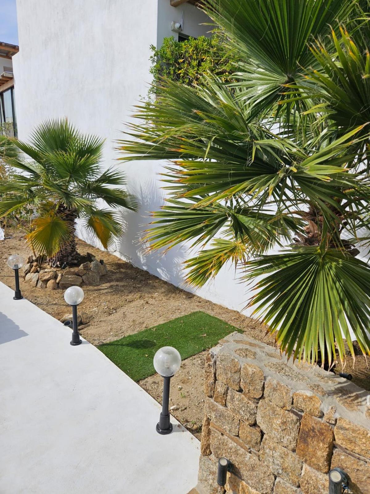 Mykonos Town Elli Tropical Suites المظهر الخارجي الصورة